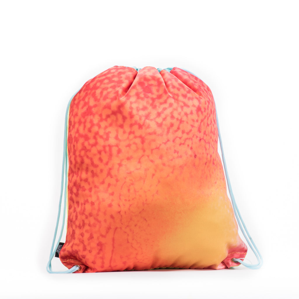 Yellow Reading Fox Drawstring Library Swim Bags (Water Resistant)